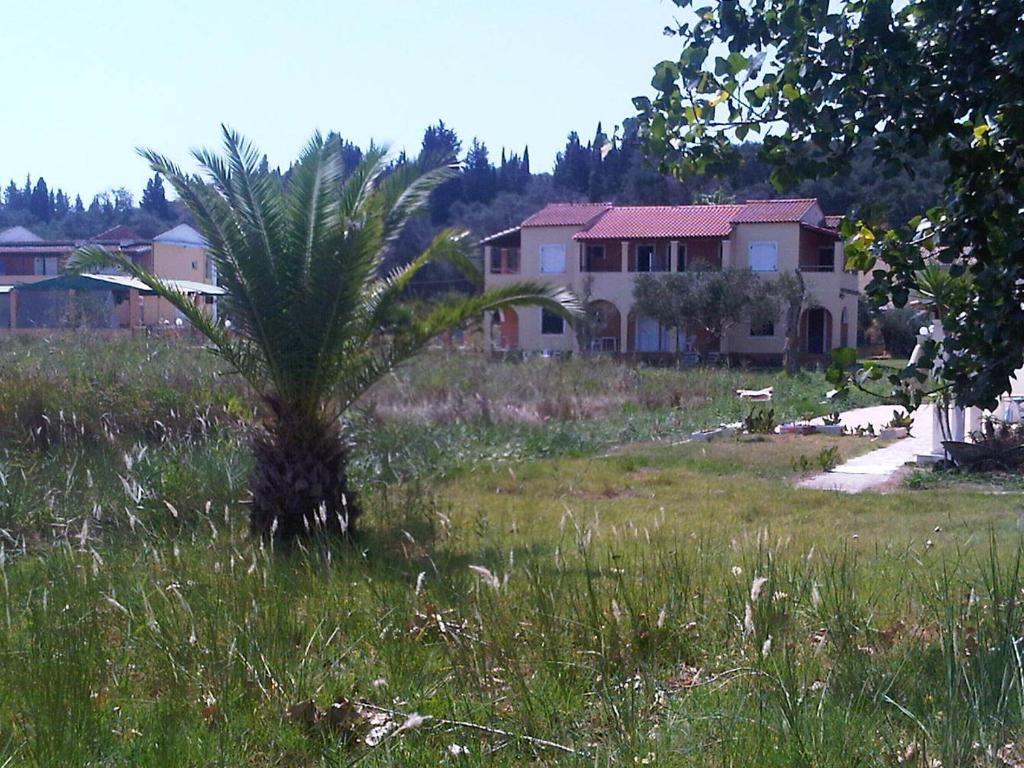 Virginia'S Beachfront Apartments Kavos Bagian luar foto