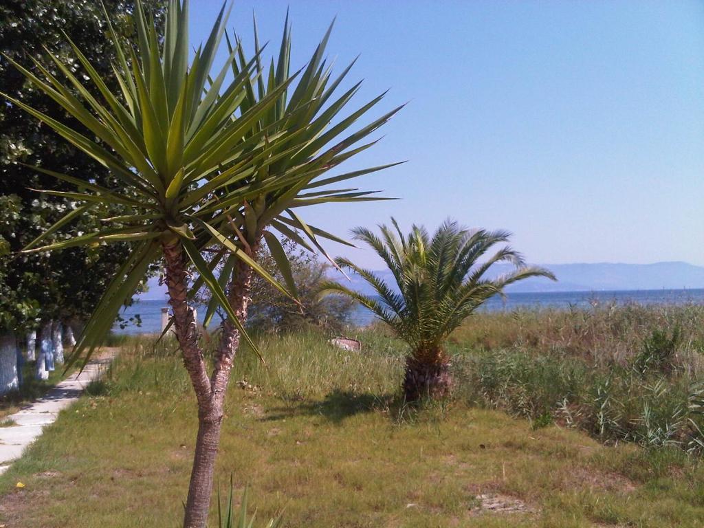 Virginia'S Beachfront Apartments Kavos Bagian luar foto