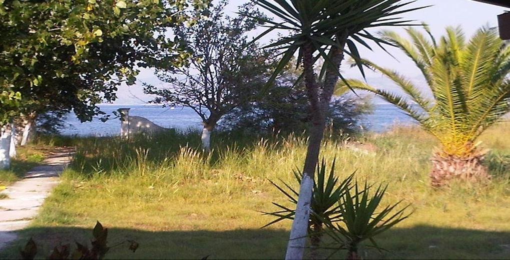 Virginia'S Beachfront Apartments Kavos Bagian luar foto