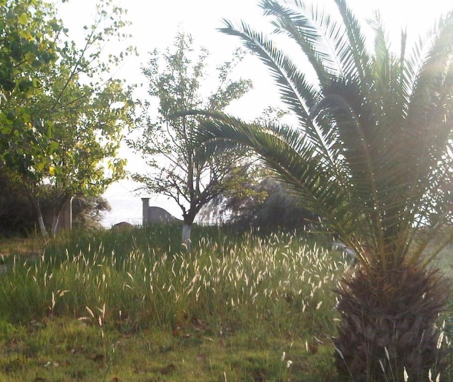 Virginia'S Beachfront Apartments Kavos Bagian luar foto